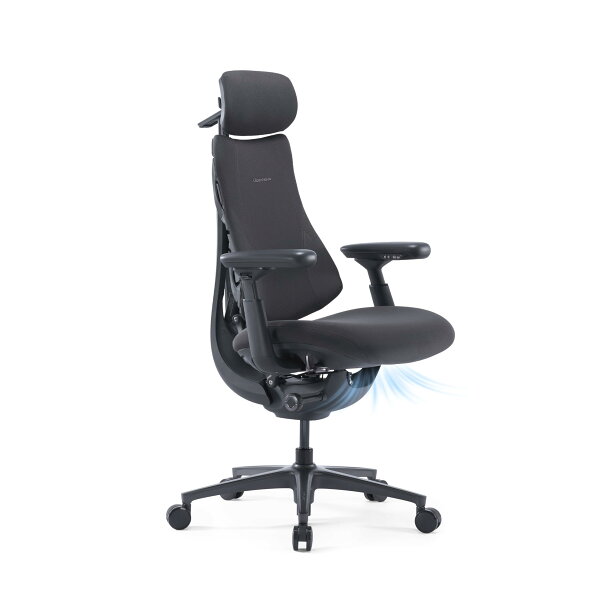 LiberNovo Omni Pro AirFlow 電動ワークチェア