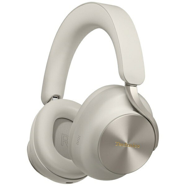 Technics EAH-A1000